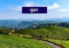 भारत के 10 सबसे खूबसूरत हिल स्टेशन जानिए इन तस्वीरों में