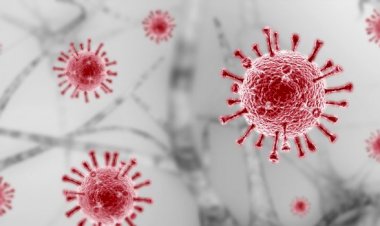 5 दिन तक सतह में जिंदा रह सकता है - कोरोना वायरस