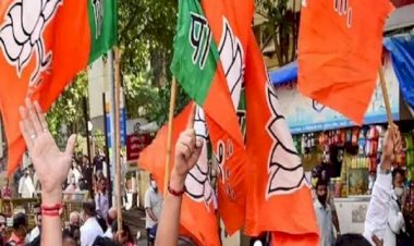 बीजेपी का प्लान 2023: छत्तीसगढ़ में नए युवा चेहरों को आगे कर फतह की तैयारी...गौरीशंकर श्रीवास की लोकप्रियता शिखर पर